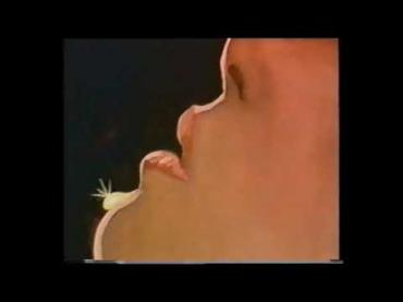 Stb_Cinzano2